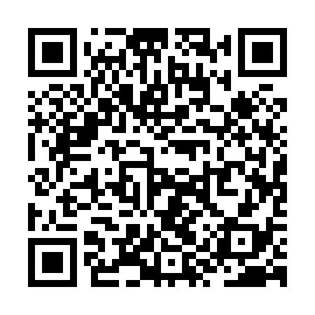 QR code for ZYQ838