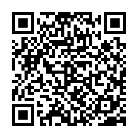 QR code for ZYR335