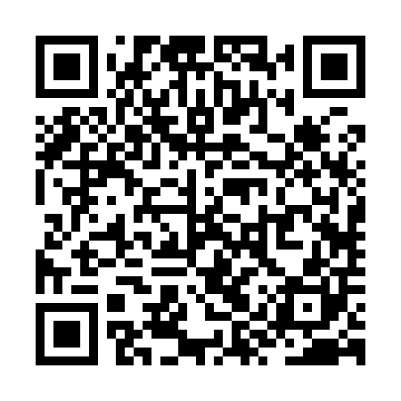 QR code for ZYR900