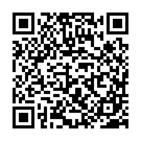 QR code for ZYZ307