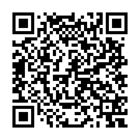 QR code for ZYZ520