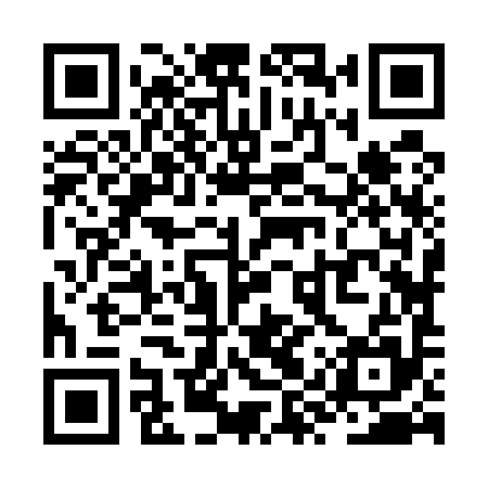QR code for ZYZ595