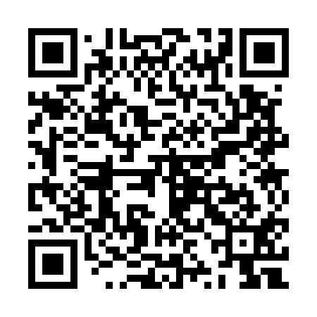 QR code for ZZC511