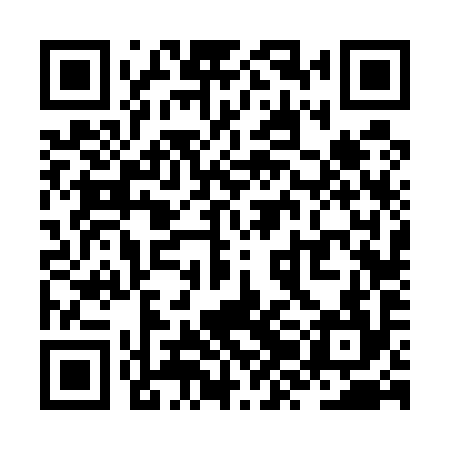 QR code for ZZF594