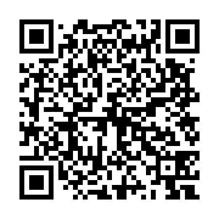 QR code for ZZG538