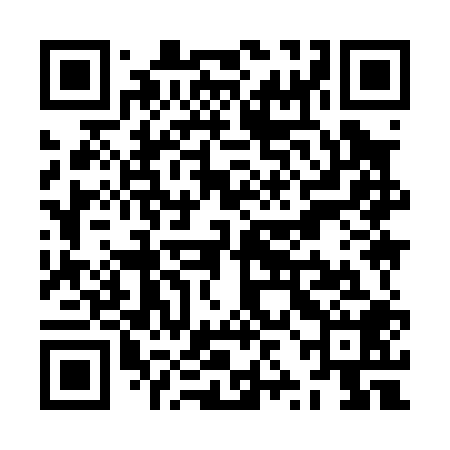 QR code for ZZI008