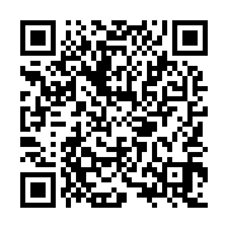 QR code for ZZL911