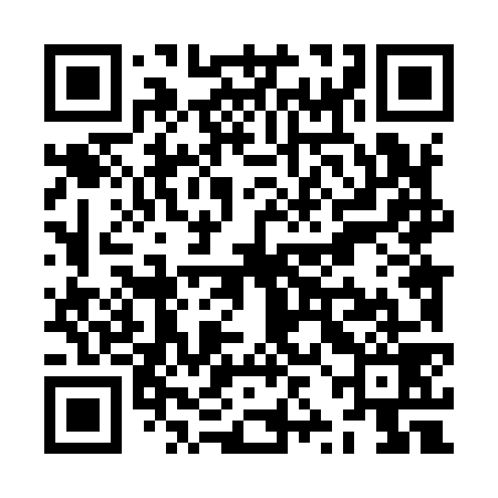 QR code for ZZL979