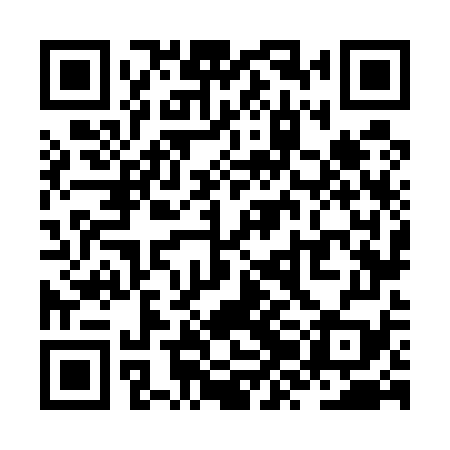 QR code for ZZN579