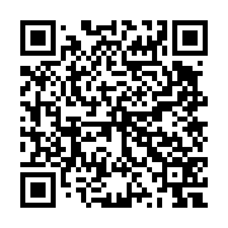 QR code for ZZO476