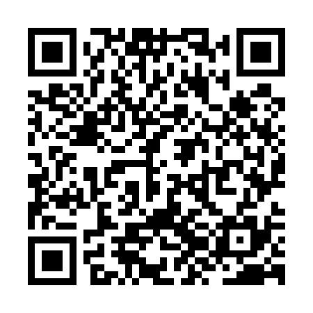 QR code for ZZO535