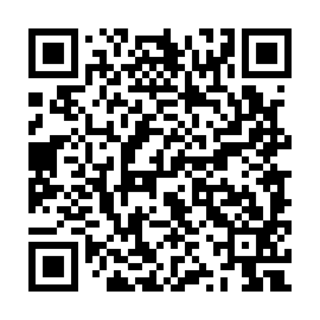 QR code for ZZT193