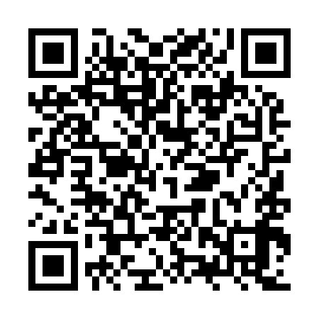 QR code for ZZT999
