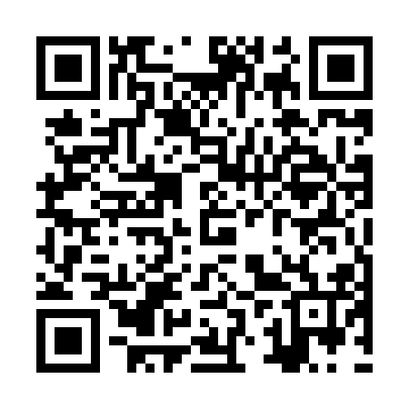 QR code for ZZU816