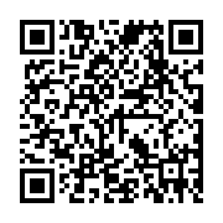 QR code for ZZV510