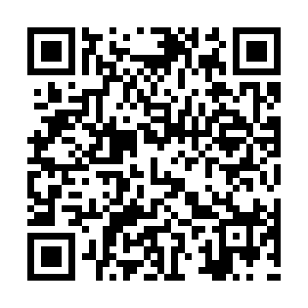 QR code for ZZY398