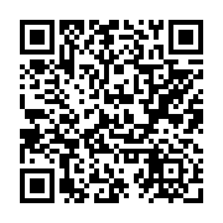 QR code for ZZZ613