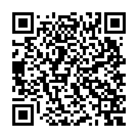 QR code for ZZZ663