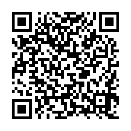 QR code for ZZZ955