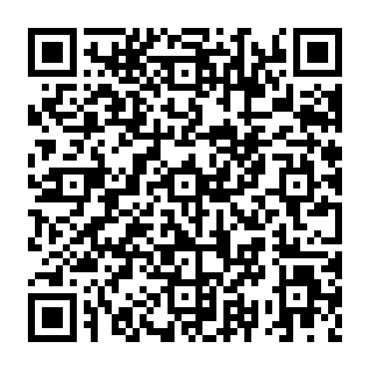 QR code for PYZ 541