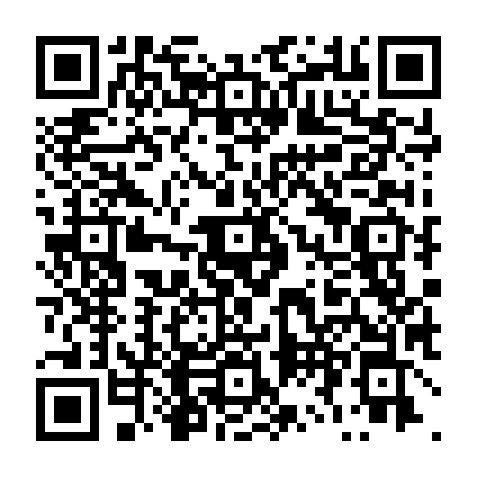 QR code for TZZ 863