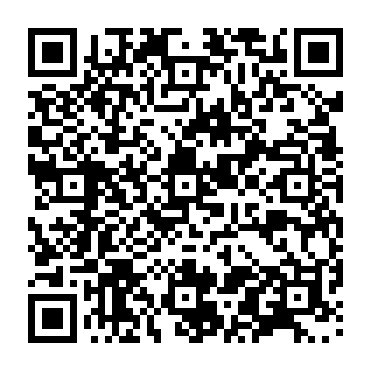 QR code for ZKH 313