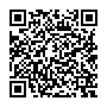 QR code for AAS9234