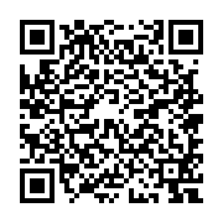 QR code for ACE1929