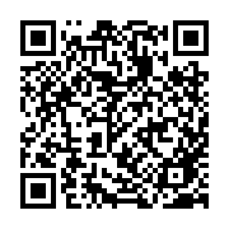 QR code for AI13HG