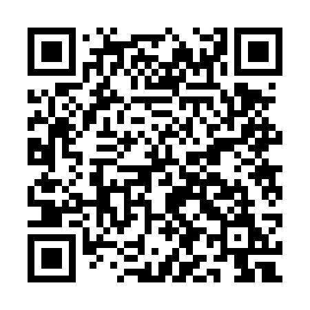 QR code for AI24SM