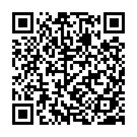 QR code for AI95PH