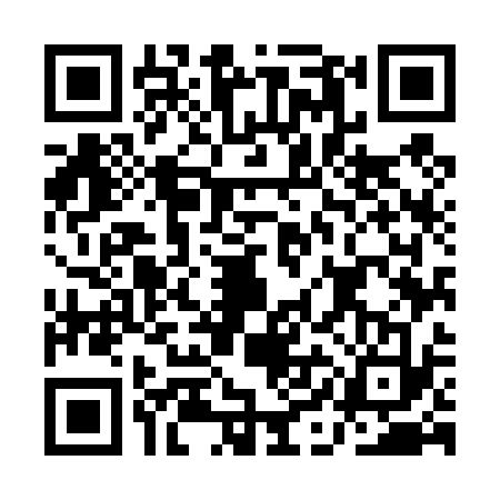 QR code for AIM4333