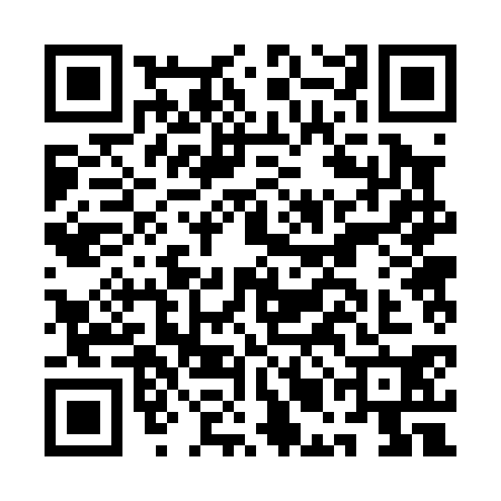 QR code for AMB0307