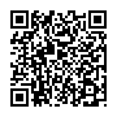 QR code for ANN9658