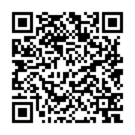 QR code for ANP9336