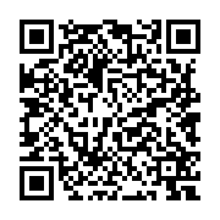 QR code for ANT9263