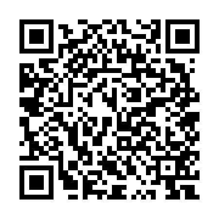 QR code for APG6533