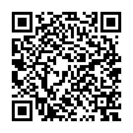 QR code for APJ6541