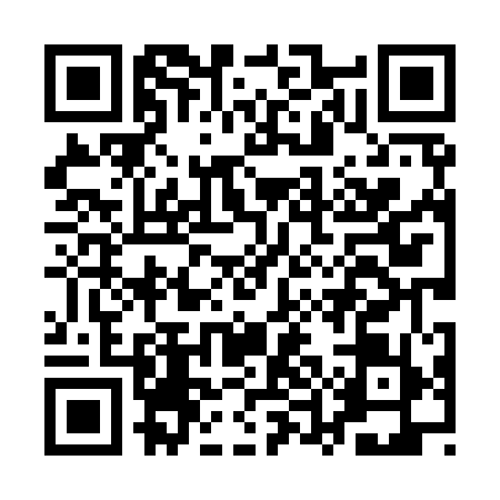 QR code for AUL9591