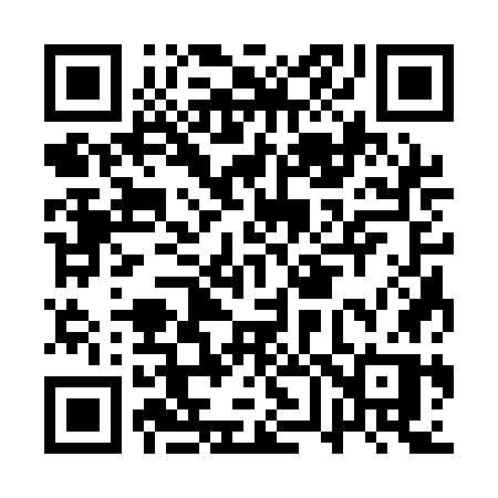 QR code for AV31GP