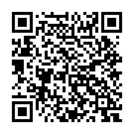 QR code for AY12PI