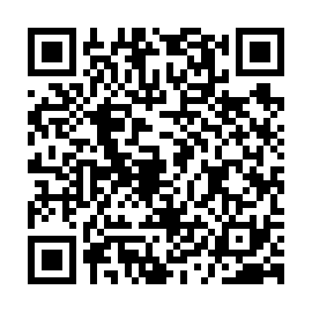 QR code for AYI6313
