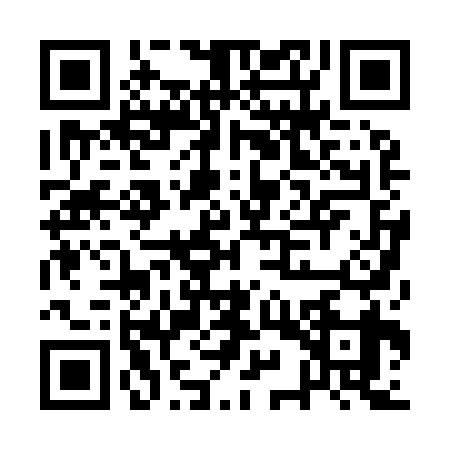 QR code for AYP9397