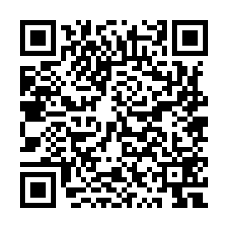 QR code for AYZ9597