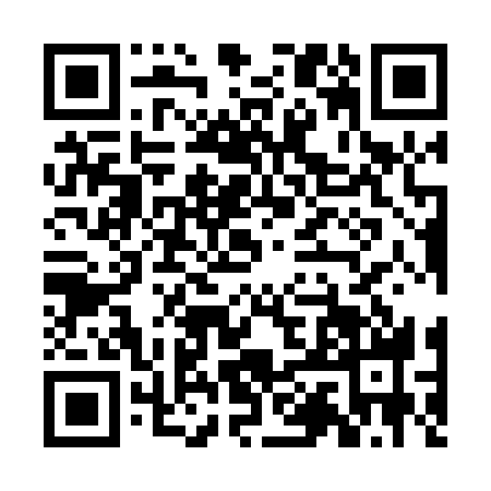 QR code for BAI0381