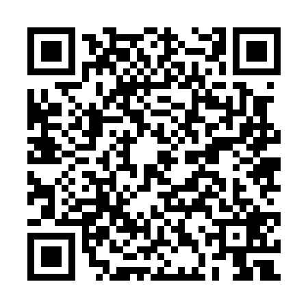 QR code for BDZ0295
