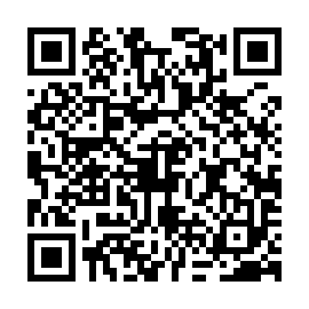 QR code for BFD9933