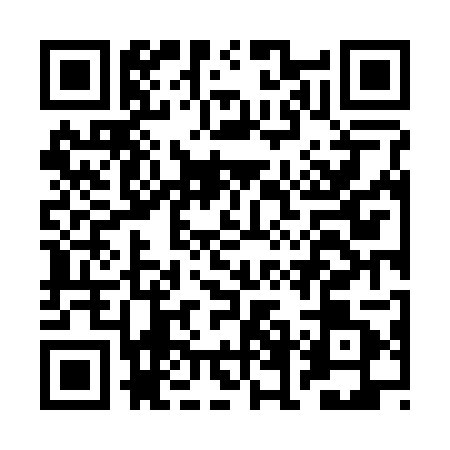 QR code for BFN2014