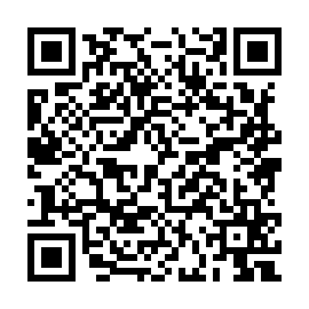 QR code for BFX9653