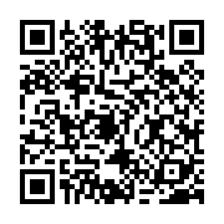 QR code for BFZ0294